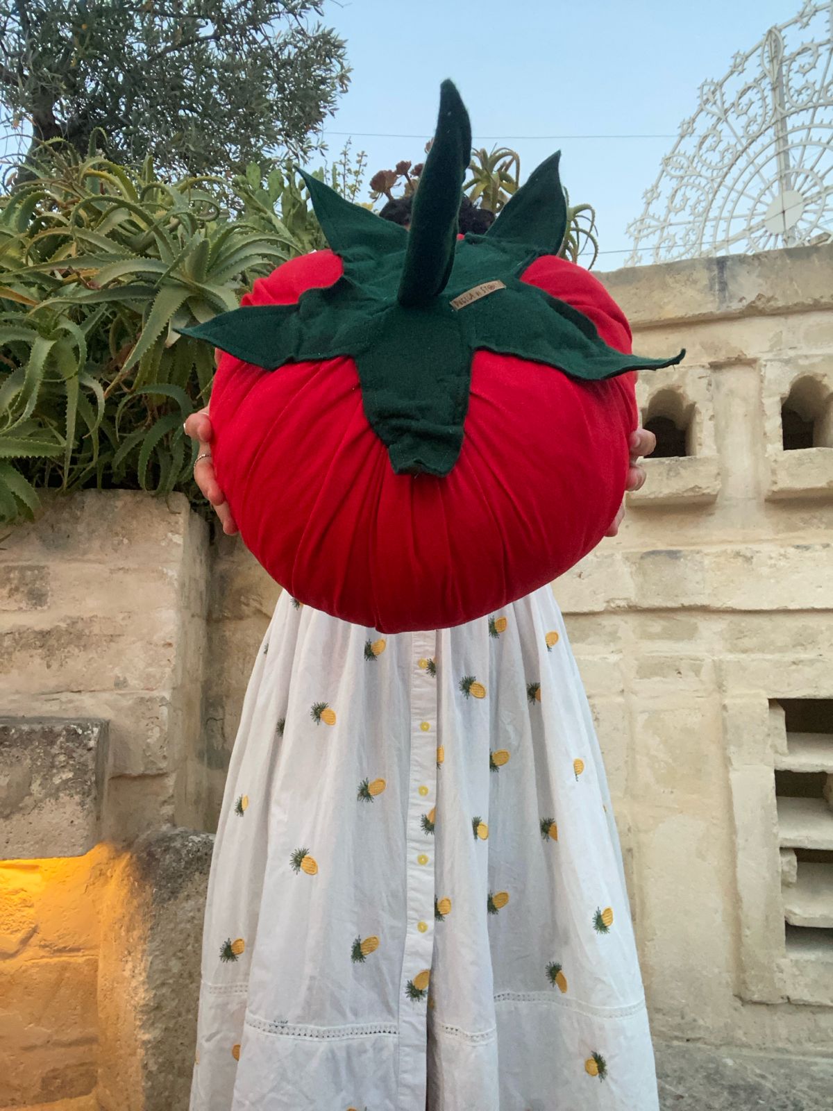 Cuscino pomodoro